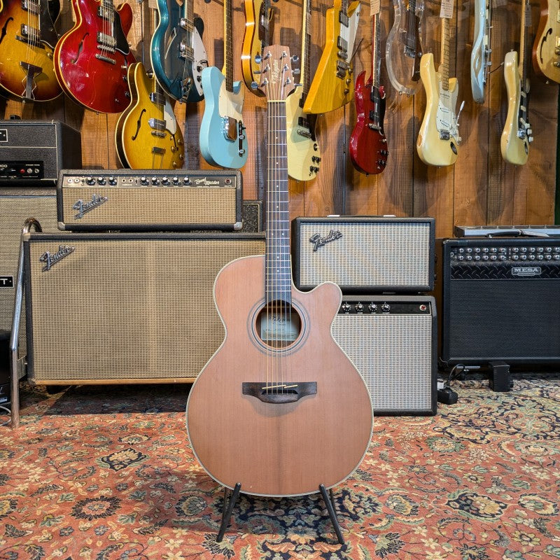 Takamine GN20CE NS G20