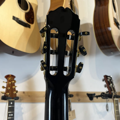Takamine Limited Edition Michi Black 2012