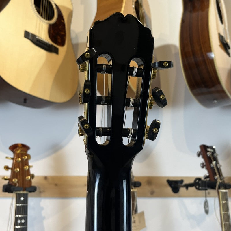 Takamine Limited Edition Michi Black 2012