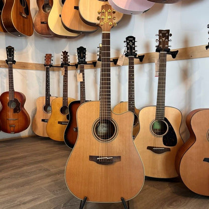 TAKAMINE TAN10CR
