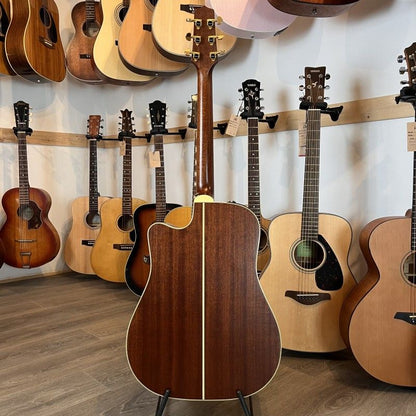 TAKAMINE TAN10CR