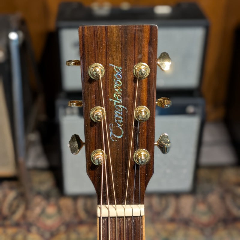 Tanglewood TW170E