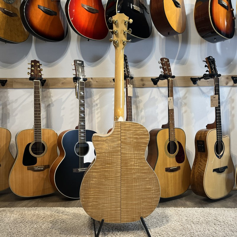Taylor 614ce with Fishman Electronics