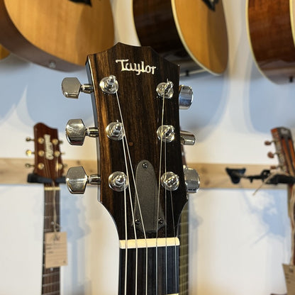 Taylor T5z Classic DLX with Tropical Mahogany Top 2022 - Shaded Edgeburst